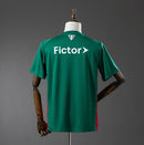 Camiseta Palmeiras 25/26 - Puma - Verde e vermelha